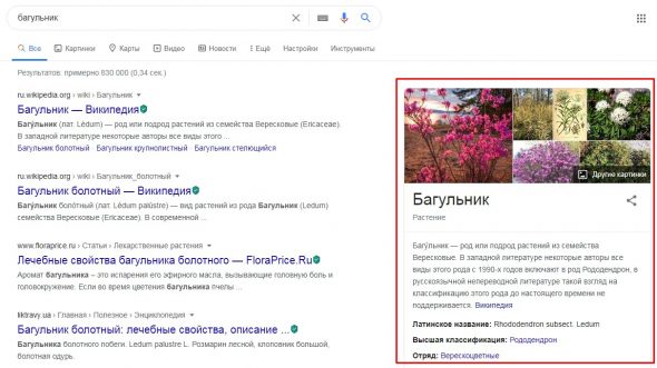 Блок знаний с контентом в Google